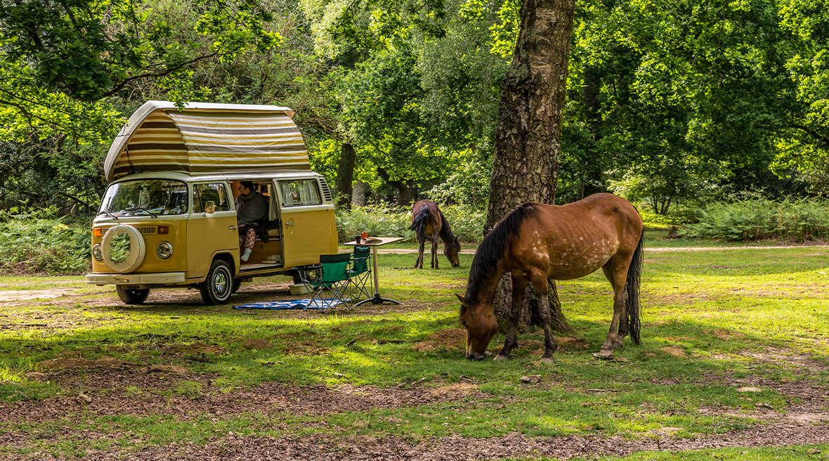 Camper op een veldje in het New Forest, met op de voorgrond een New Forest pony